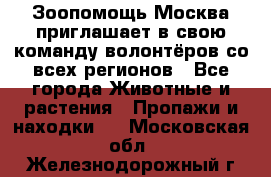 Зоопомощь.Москва приглашает в свою команду волонтёров со всех регионов - Все города Животные и растения » Пропажи и находки   . Московская обл.,Железнодорожный г.